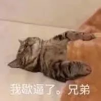 点击查看原图 突破小破站限制 下载B站你想要的资源